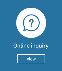 Online inquiry